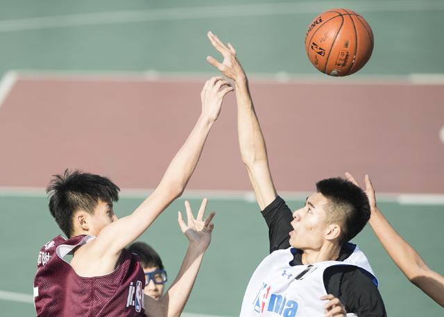 人与动性xxx视频