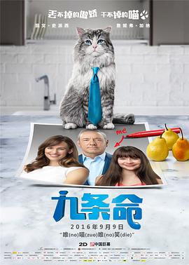 王多鱼打扑克视频