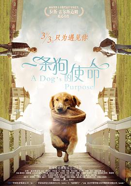 bios设置硬盘启动顺序
