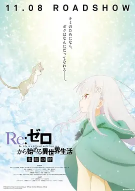video是啥意思