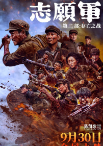 刘的视频vk