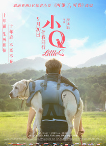 先锋音影资源站