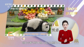 第四色站